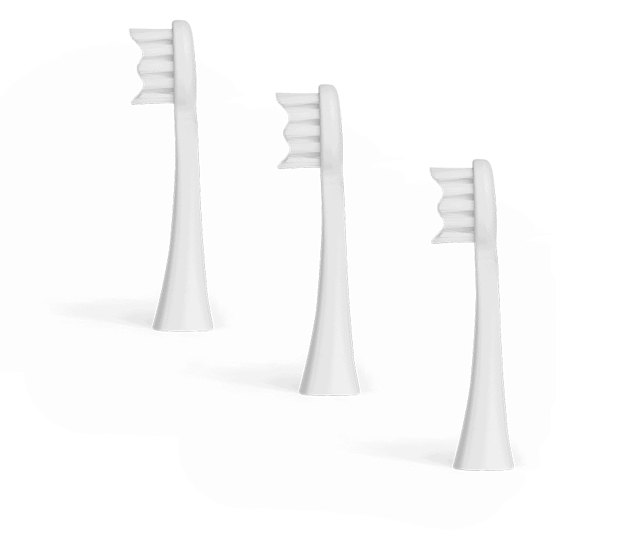 White Brush Head