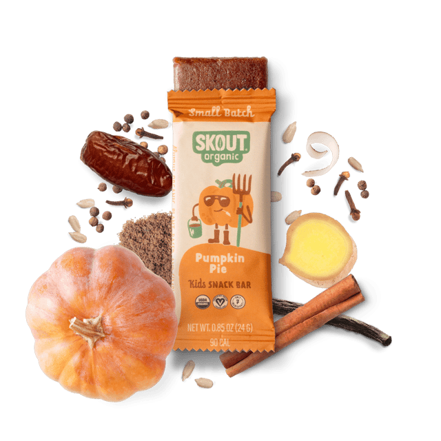 Skout Organic Pumpkin Pie Kids Bar