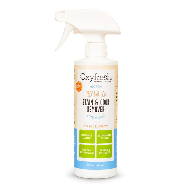 Advanced Pet Stain & Odor Remover - Best Way to Remove Stains