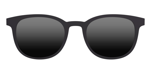 The Polarized Black Sun Top