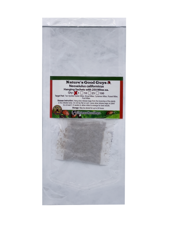 Neoseiulus californicus Sachets - Generalist that Tolerates High Heats