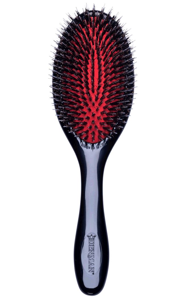D81M Style and Shine Brush