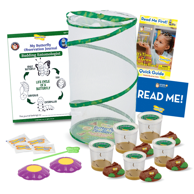 Easy 25 School Kit