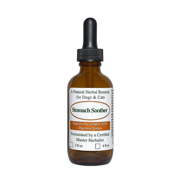 Stomach Soother Upset Stomach Remedy for Dogs and Cats