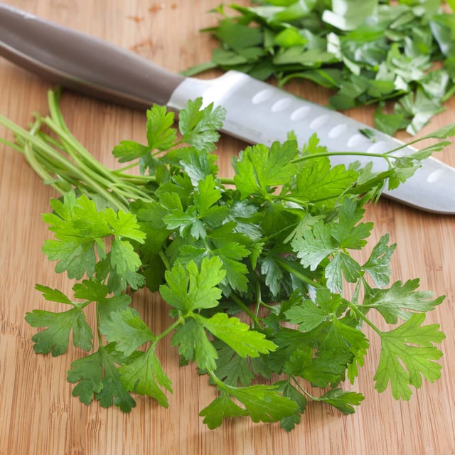 Italian Flat Parsley (2 Pack)