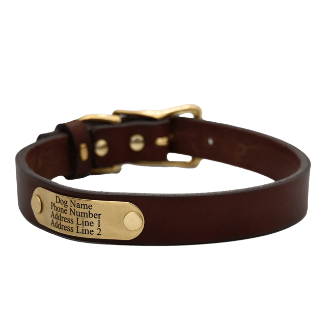 Personalized Standard Dog Collar