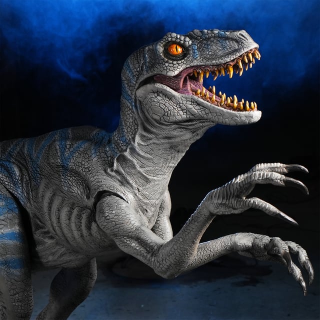 Raptor Display