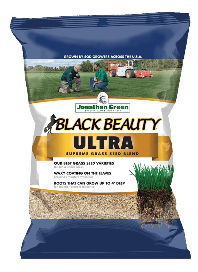 Black Beauty® Ultra Grass Seed