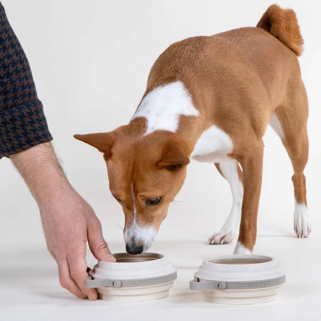 Nomad Collapsible Dog Bowl Set of 2