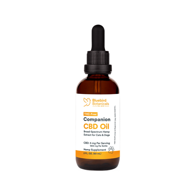 CBD Oil for Pets