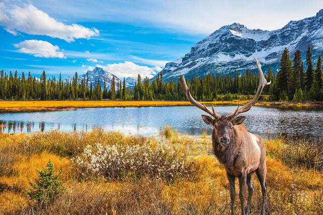 Get United's best fares today on flights from Houston to Canada