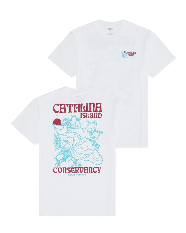 Catalina Island Puff Print Tee