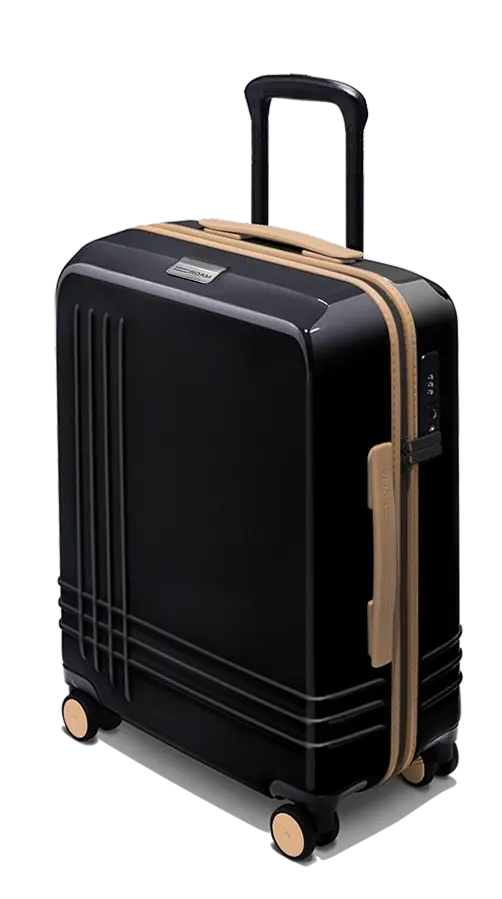 Large Carry-On