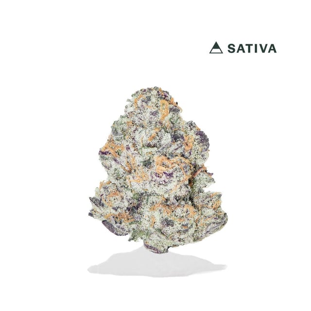 Guava Kush THCA Flower