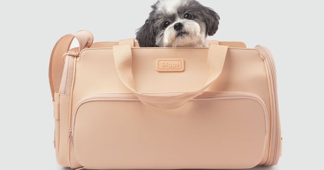Passenger Travel Carrier