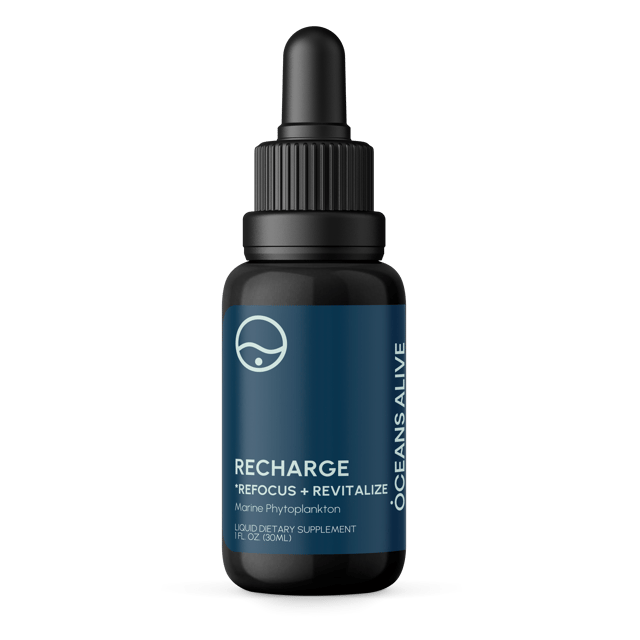 Oceans Alive® Recharge