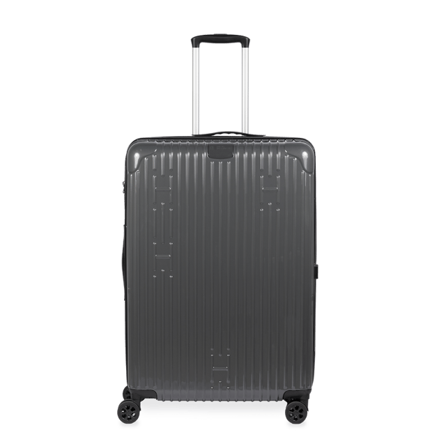 Check-In Luggage