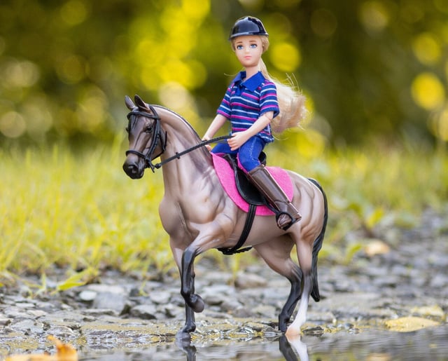 English Horse and Rider