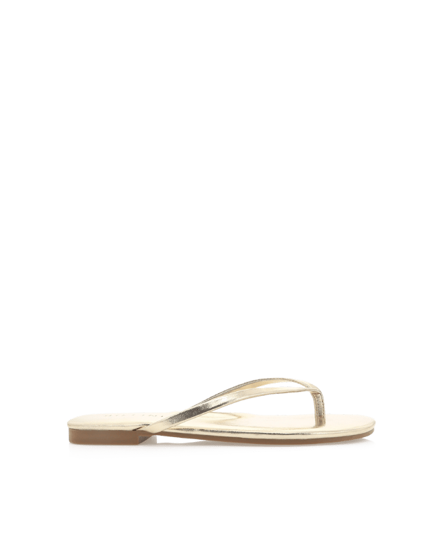 WINSOR - GOLD METALLIC