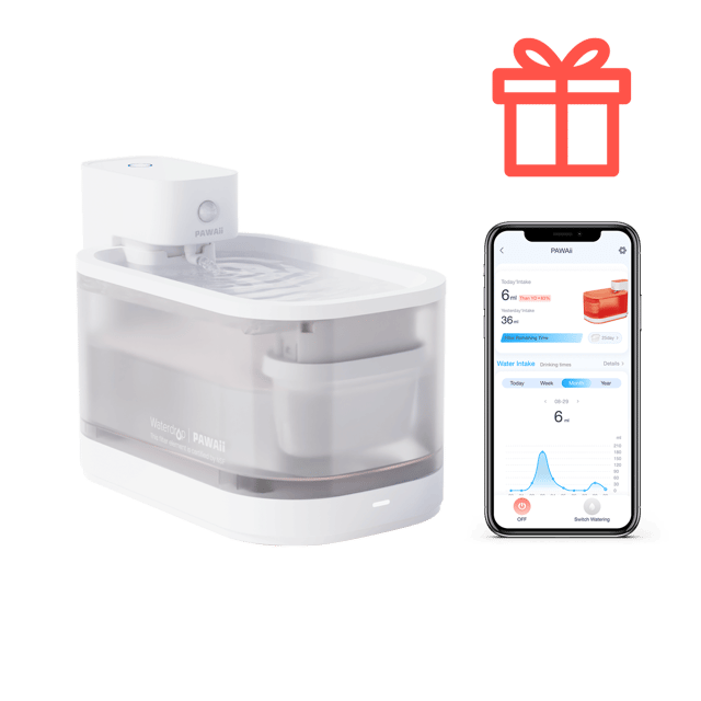 PAWAii Wireless Pet Water Fountain Pro