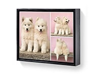 Framed Collage Canvas Print