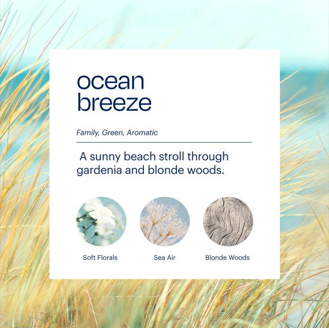 Aera Mini & Ocean Breeze