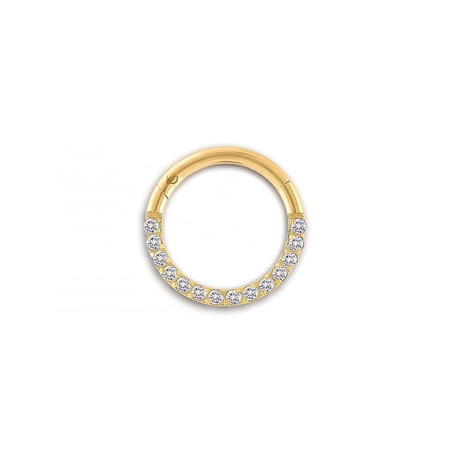 Front Pave Seamless Hoop
