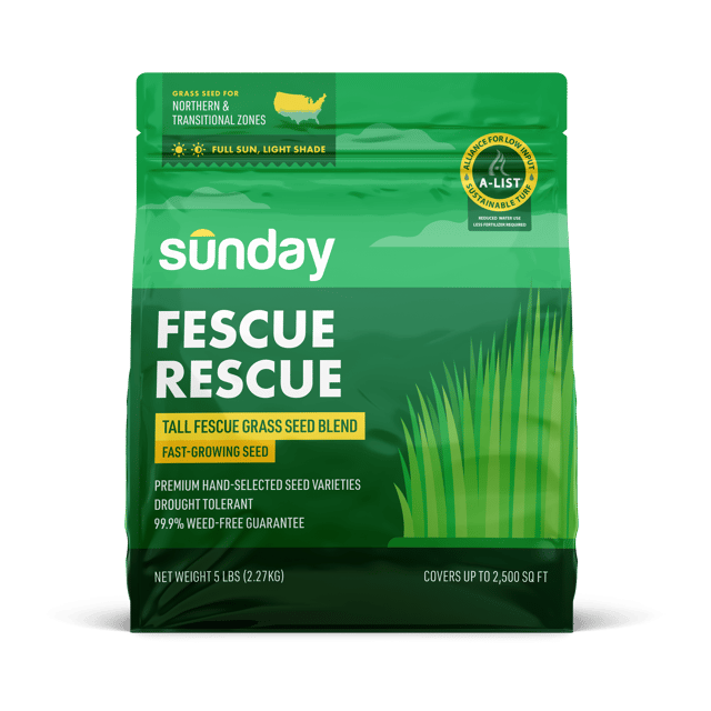 Fescue Rescue Grass Seed