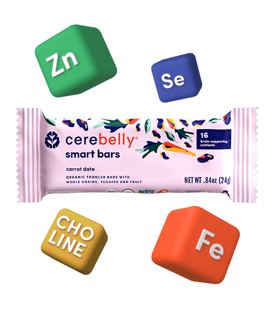 Carrot Date Smart Bars