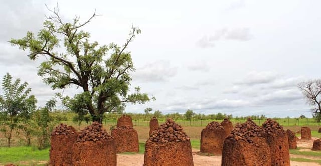 Wassu Stones & Georgetown: 2-Day Discovery Tour