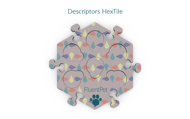 Compact Pattern HexTile - Descriptor