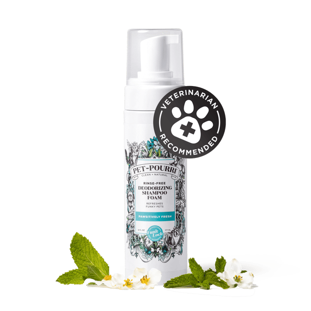 Rinse-Free Deodorizing Shampoo