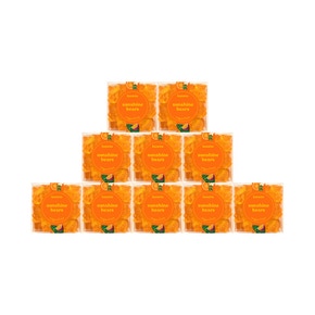 Sunshine Bears Perfect 10 Party Pack