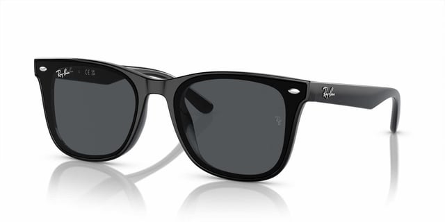 RB4420 Sunglasses