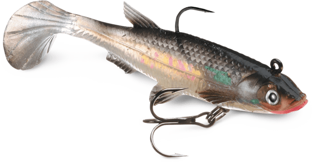 WildEye® Live Minnow | Storm