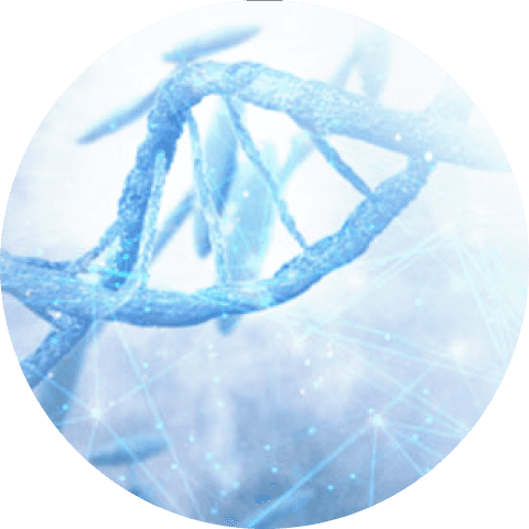 Genetic Testing For Disease Risk | Disease Genetic Analysis