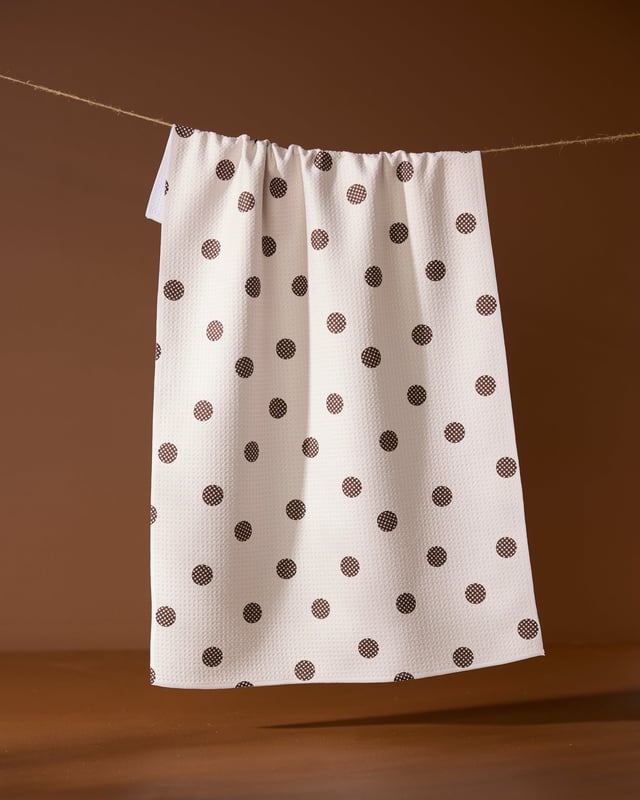 Polka Picnic