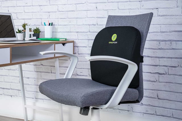 ErgoFoam Lumbar Support Pillow for Chair | Shop Online
