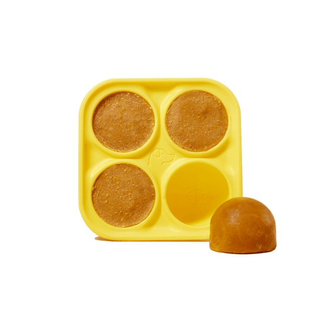 Woof Pupsicle Frozen Dog Treat Mold - Freeze Your Own DIY Dog Treats