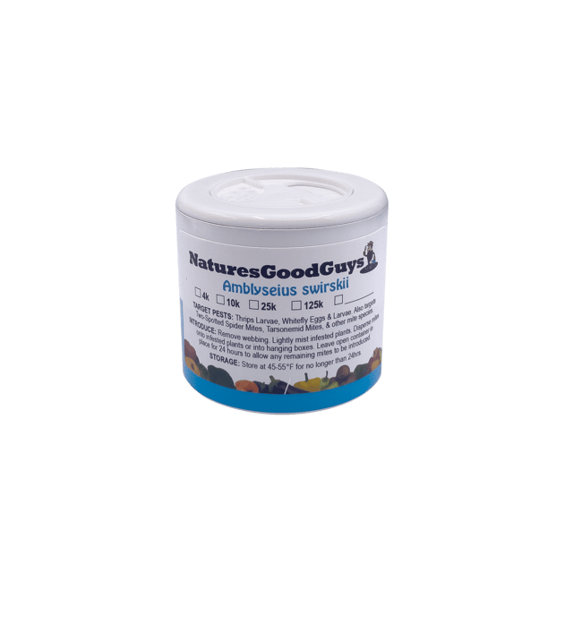 Amblyseius swirskii - Spider Mite, Thrips, & Whitefly Control