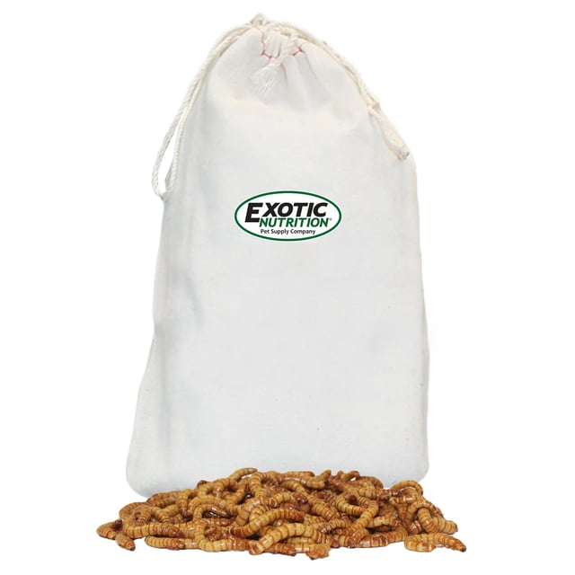 Large Live Mealworms (3/4")