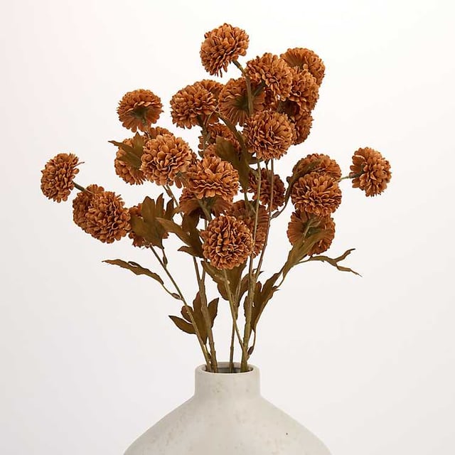 Chocolate Mum Mix Stem