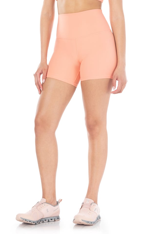 Solstice Seamless Ribbed Biker Short