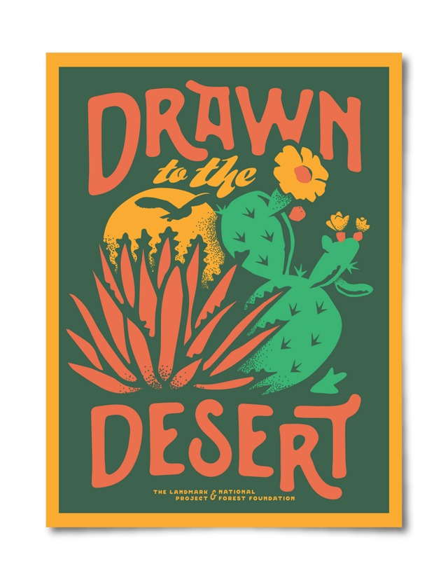 Drawn to the Desert Poster