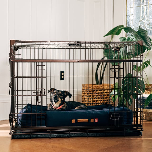 Lucky Dog® Dwell Series Crate® - Bronze Finish