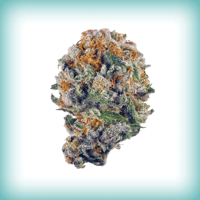 Blueberry Muffin