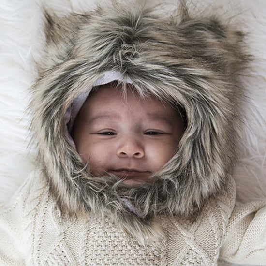 Grizzly Bear