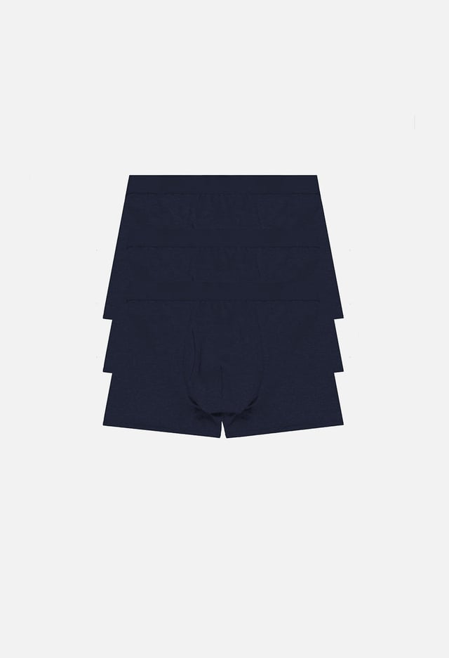 Foundation 3 Pack Boxer Brief / Navy