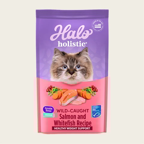 Holistic Healthy Weight Support Grain Free Wild-Caught Salmon and Whitefish Recipe Indoor Dry Cat Food