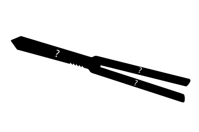Mystery Swordfish